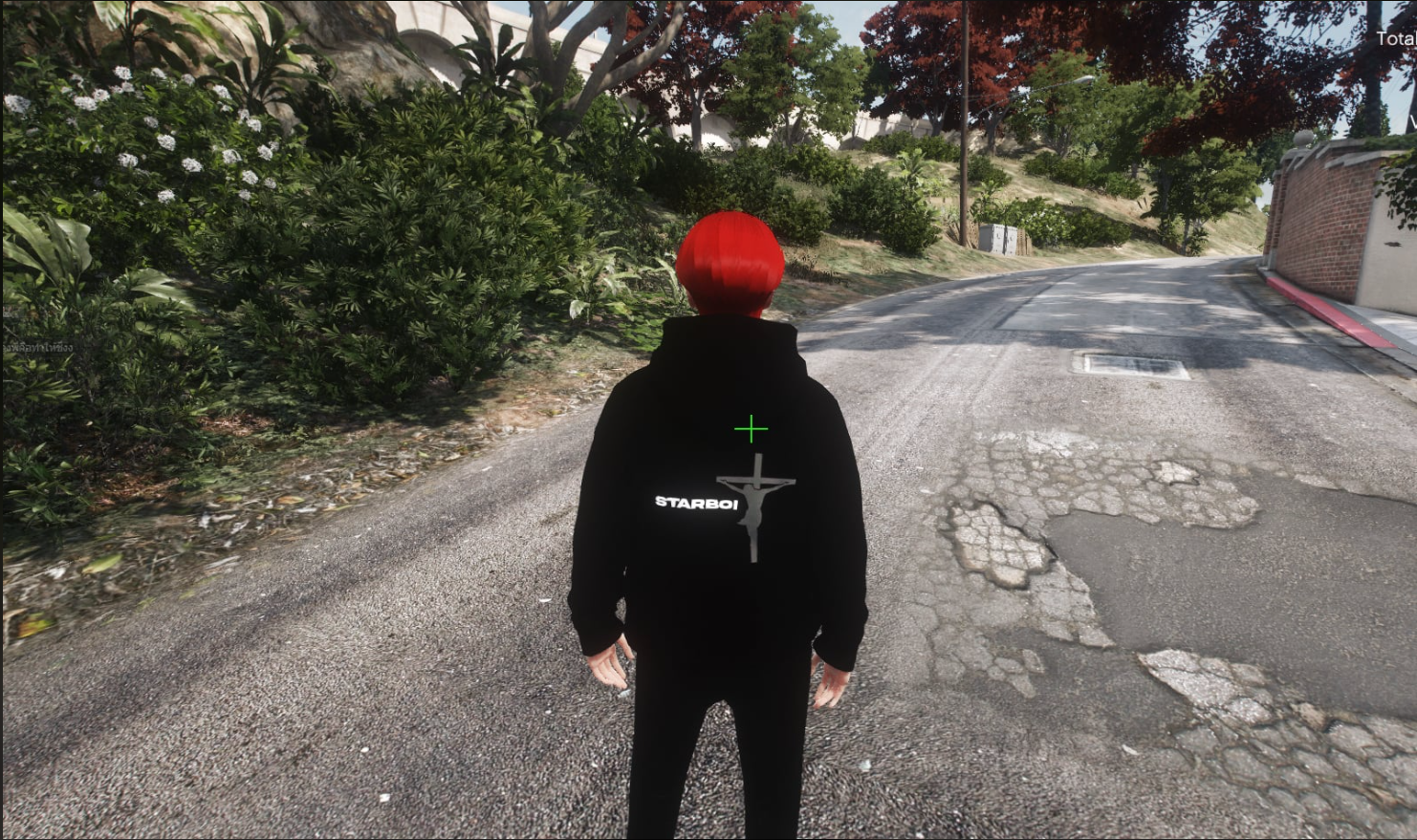 Dev
